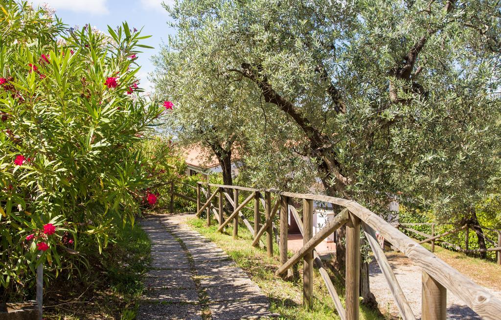 Blucamp Natural Village Campiglia Marittima Exterior foto